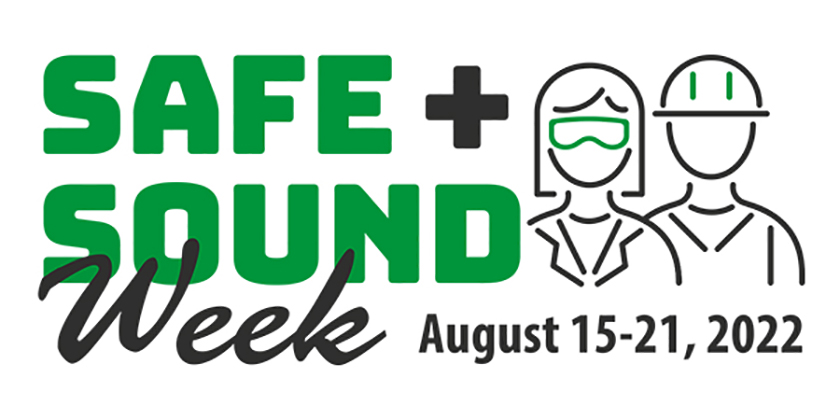 Safe + Sound safety consulting visual