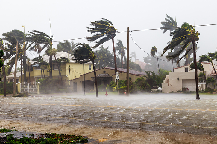 Hurricane safety training image