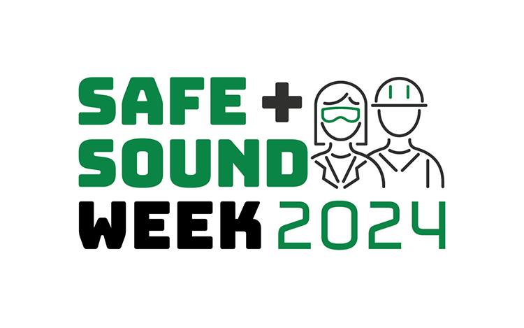 Safe + Sound safety consulting visual